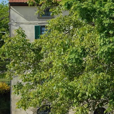 Apartment Marron Glace *