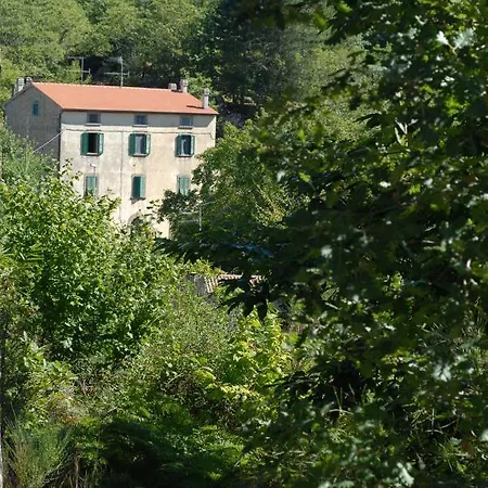 Marron Glace Daire Castel del Piano (Tuscany)